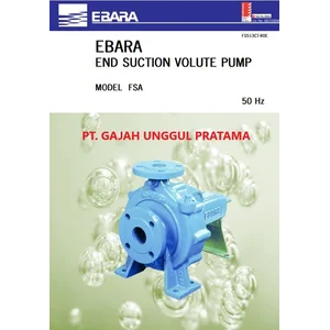 Pompa Ebara Centrifugal 65x50 FSHA