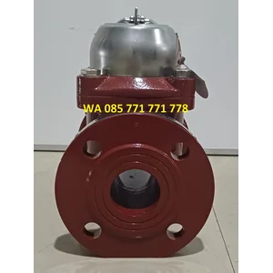 Sewage Flowmeter SHM 2 inch 