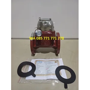 Sewage Flowmeter SHM 2 inch 
