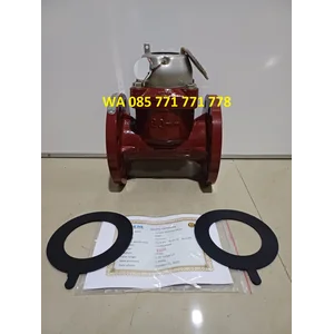 Sewage Flowmeter SHM 3 inch