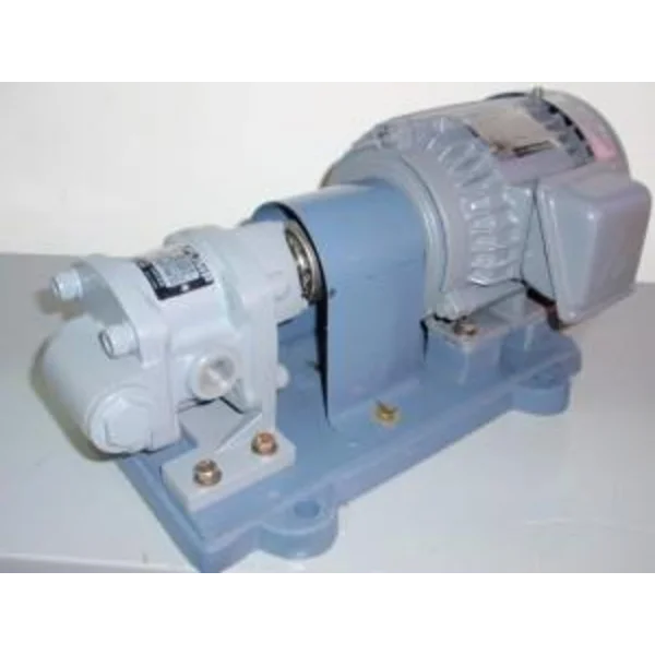  Gear Pump EBARA GPF - Ready Stock Gear Pump EBARA GPF