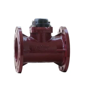 Flow Meter SHM 2.5" (DN65)