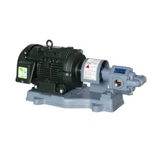 Gear Pump Ebara Model 25 GPE