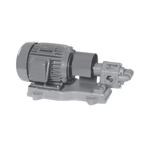  Gear Pump Ebara GPE -  Gear Pump Ebara Model 25 GPE
