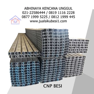 Cnp Channel Iron 100 X 50 X 20 X 2.3Mm
