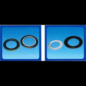 Spiral Wound Gasket With Outer Ring