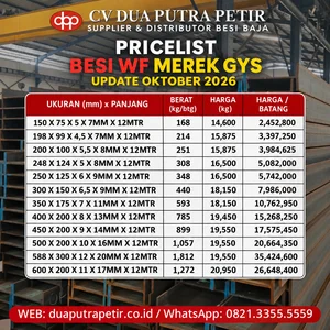 Besi WF GYS 200 x 100 x 5.5 x 8 mm 12 Meter