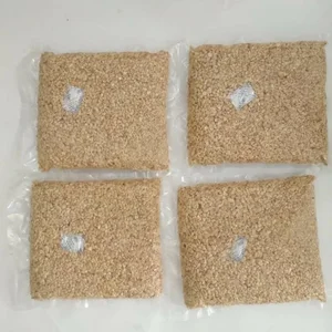 Kacang Mete Menir