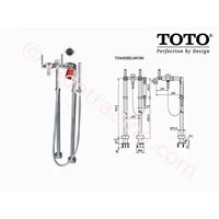 Toto Shower Floor Standing Tx445selmv3n