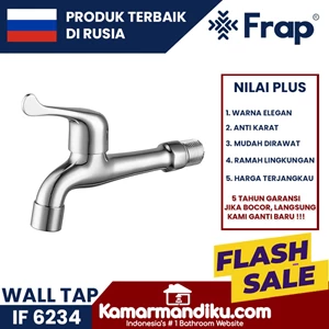 Frap wall long wall faucet tap IF quality 6234 best er russian