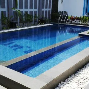 Minimalist Swimming Pool Construction Services