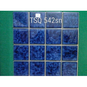 Mosaic Swimming Pool Type TSQ 542 Mb