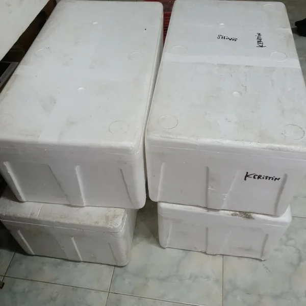 KOTAK GABUS ( STYROFOAM ) SEBAGAI TEMPAT PENYIMPANAN IKAN DAN MAKANAN LAINNYA