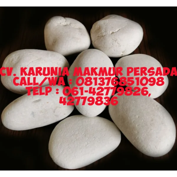 Batu Alam Koral Putih Jumbo XL 