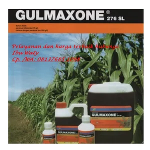 GULMAXONE 276 SL Cap. 1 ltr Herbisida