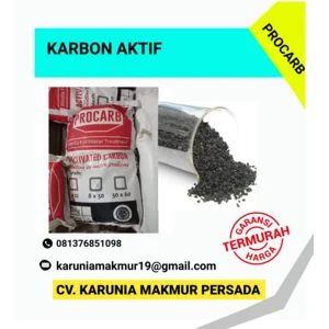 KARBON AKTIF PROCARB 25 KG/ SAK