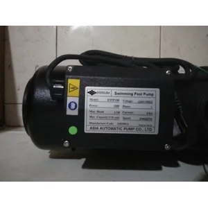 Pompa Kolam Renang Evergush ESTP 100 1 HP