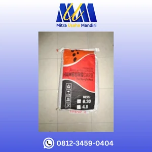 Hamburg activated carbon media filter