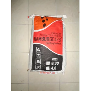 Hamburg activated carbon media filter