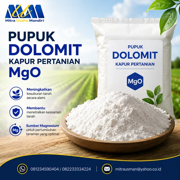 Pupuk Dolomit Kapur Pertanian MgO
