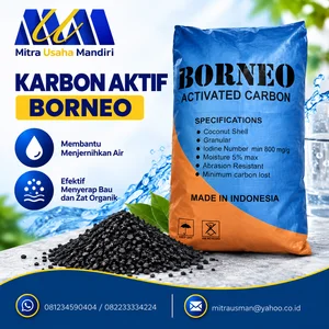 Karbon Aktif Borneo Iodine Number 1000 mg/g