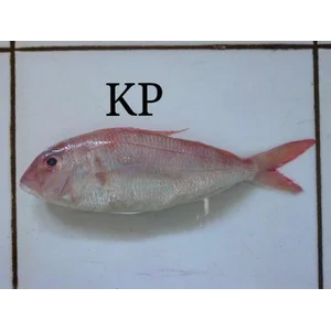 Ikan Kuniran Beku (Nemipterus Virgatus)