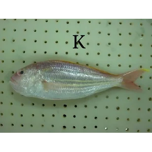 Ikan Kuniran Beku (Nemipterus Virgatus)