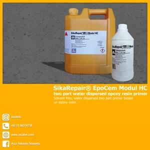 Sika Repair® EpoCem Modul HC Acetic Sealant