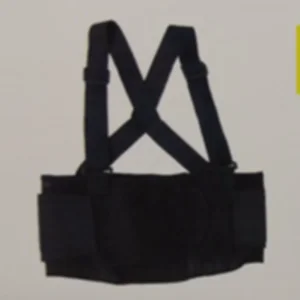 Safety back support belt Wellsafe