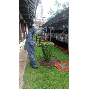 Garden maintenance tidying up weeds at Asuransi Bintang 05/12/2022