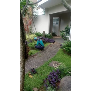 Garden maintenance uprooting wild plants in Cinere housing 06/12/2022