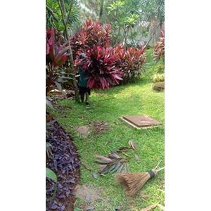 Garden maintenance tidying up plants at Cinere housing 03/12/2022