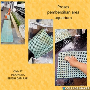 Cleaning service Proses pembersihan area aquarium Di Tendean - Jakarta