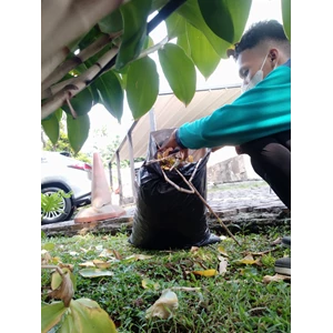 Perawatan taman bersihkan daun kering di sari rasa 26/04/2022