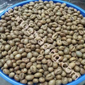 Kopi Robusta Peaberry