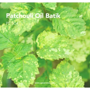 Patchouli Oil Batik (PL-504) Van Aroma