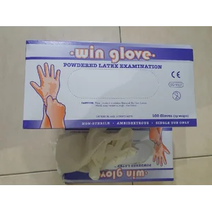 Other Safety Equipment / Gloves