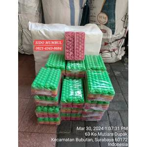 Cetakan Es Telur Bulat Plastik