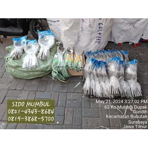 Serok Minyak Goreng Sutil Masak Stenlis