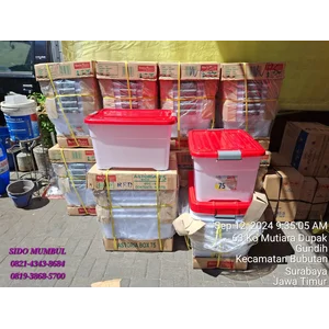 Box Roda Plastik Astoria Basic Home