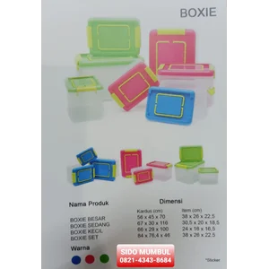 Box Plastik Transparan Parcel Boxie Container