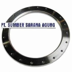 Lap Joint Flange Galvanis