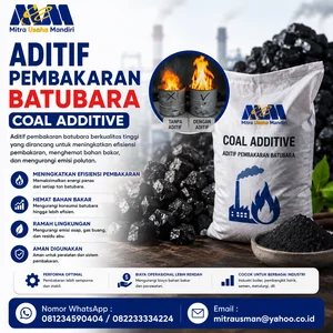 ADDITIVES OF COAL COMBUSTION COAL ADDITIVE