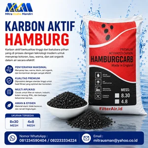 Karbon aktif Hamburg terbuat dari tempurung kelapa 