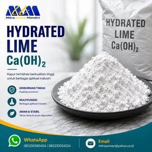 Hydrated Lime Ca(OH)2 Kalsium Hidroksida