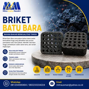Briket Batu bara / Coal Briquette