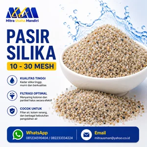 Pasir Silika 10 - 30 mesh
