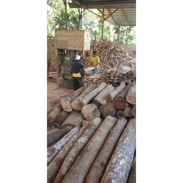 Bahan Kayu Dolken Gelam