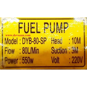 Pompa Transfer DYB-80-SP Portable Vane Pump - 0.75 Hp 220V AC