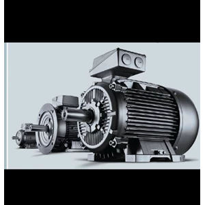 Pompa Motor Siemens 1Le0